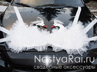 Свадебные лебеди на капот авто. Фото №1. Свадебные лебеди на капот авто. Увеличить фото 001.