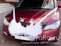 Свадебные лебеди на капот авто. Фото №0. Свадебные лебеди на капот авто. Увеличить фото 000.