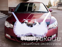 Свадебные лебеди на капот авто. Фото №6. Свадебные лебеди на капот авто. Увеличить фото 006.