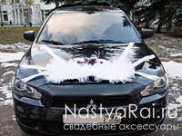 Свадебные лебеди на капот авто. Фото №8. Свадебные лебеди на капот авто. Увеличить фото 008.