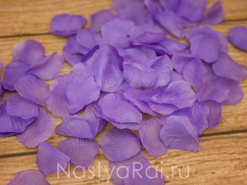 Фото. Фиолетовые лепестки роз, 150 шт.