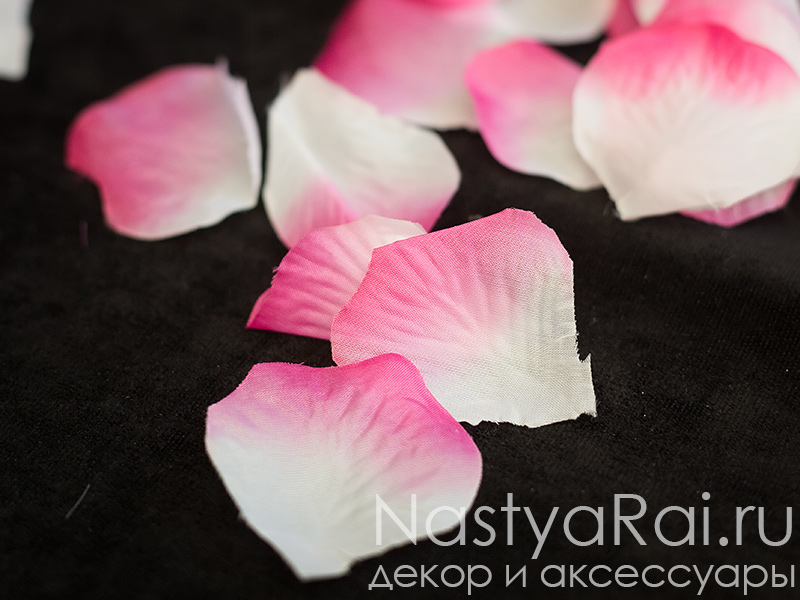 Фото. Бело-розовые лепестки роз, 150 шт.