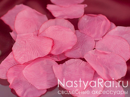 Фото. Розовые лепестки роз, 300 шт.