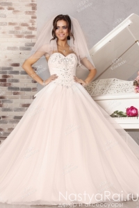       MJ164.  001.