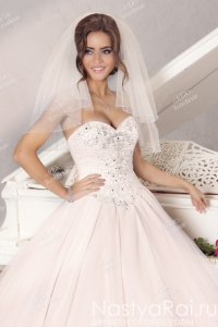       MJ164.  003.