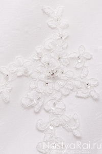     C0355Y1.  004.