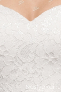      BB369.  003.